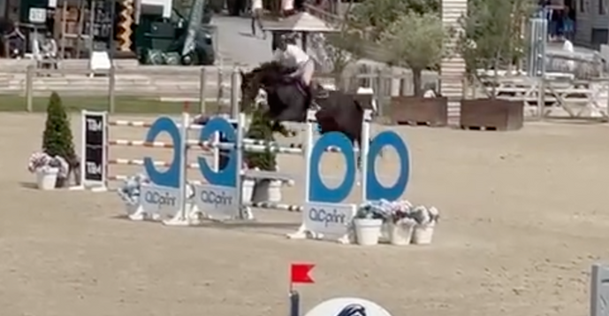 Qupido A VD Nachtegaele - Villers-Vicomte - Juillet 2025